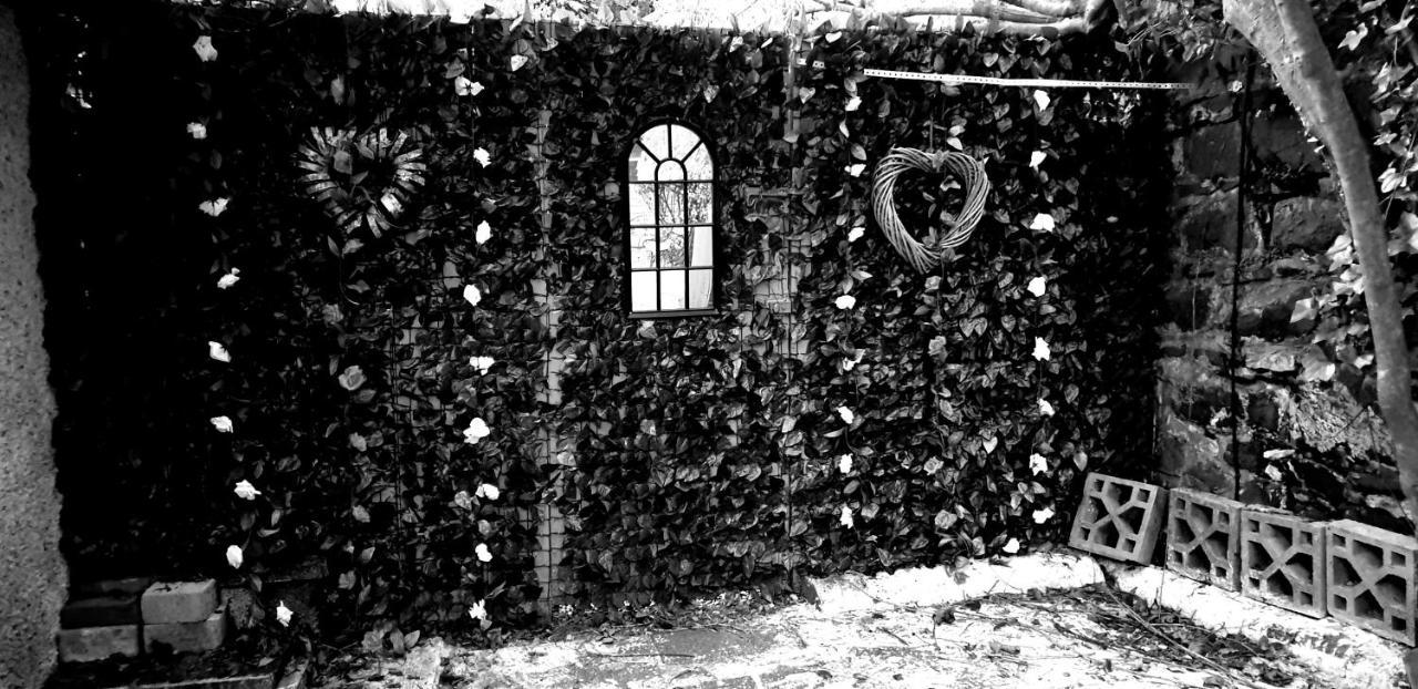 Belfast Cosy Cabin Bagian luar foto