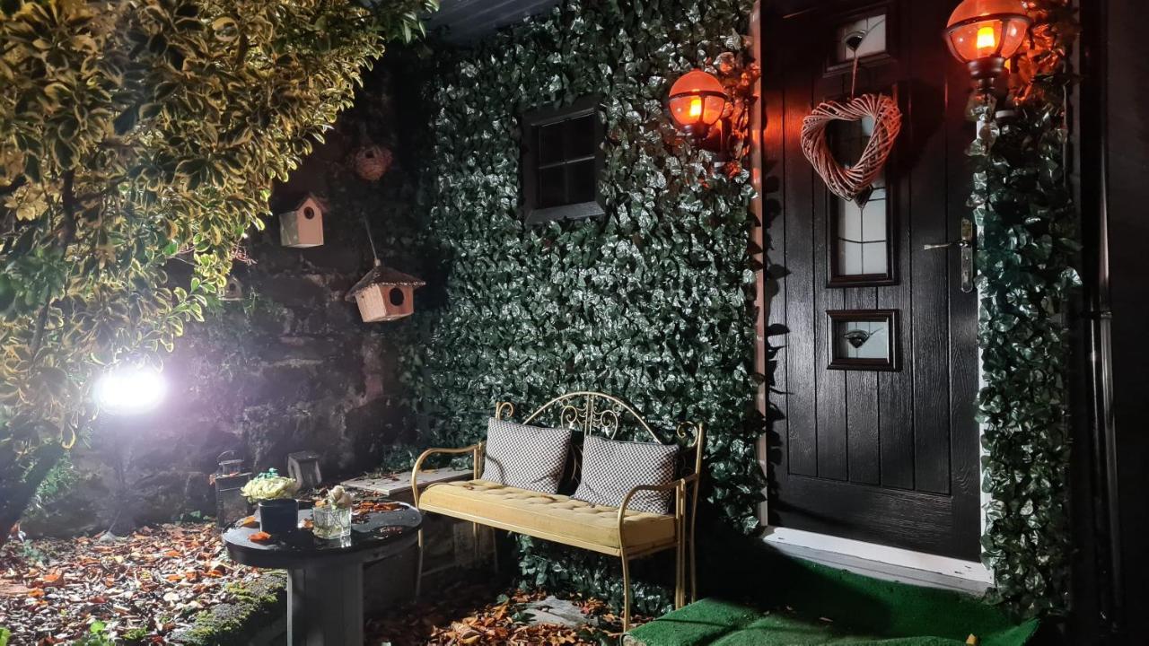 Belfast Cosy Cabin Bagian luar foto